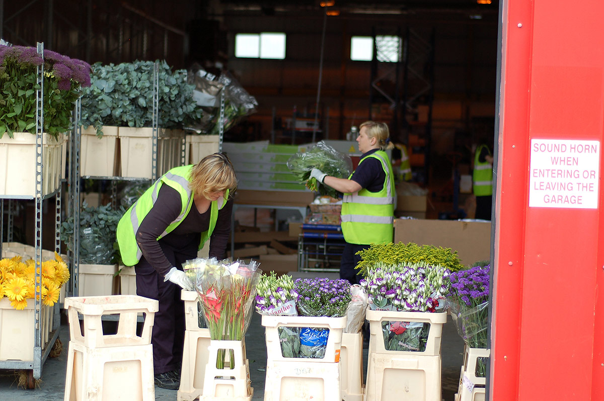 Corporate flowers being loaded for delivery