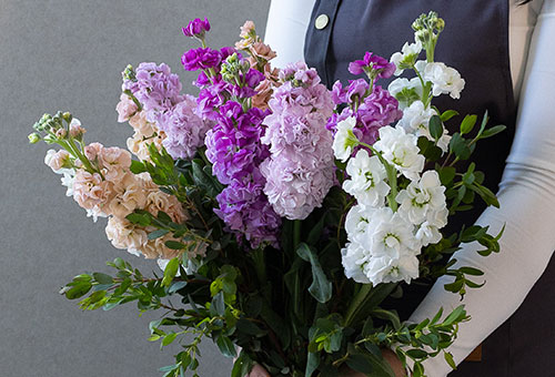Simply Thank You Summer Bouquets